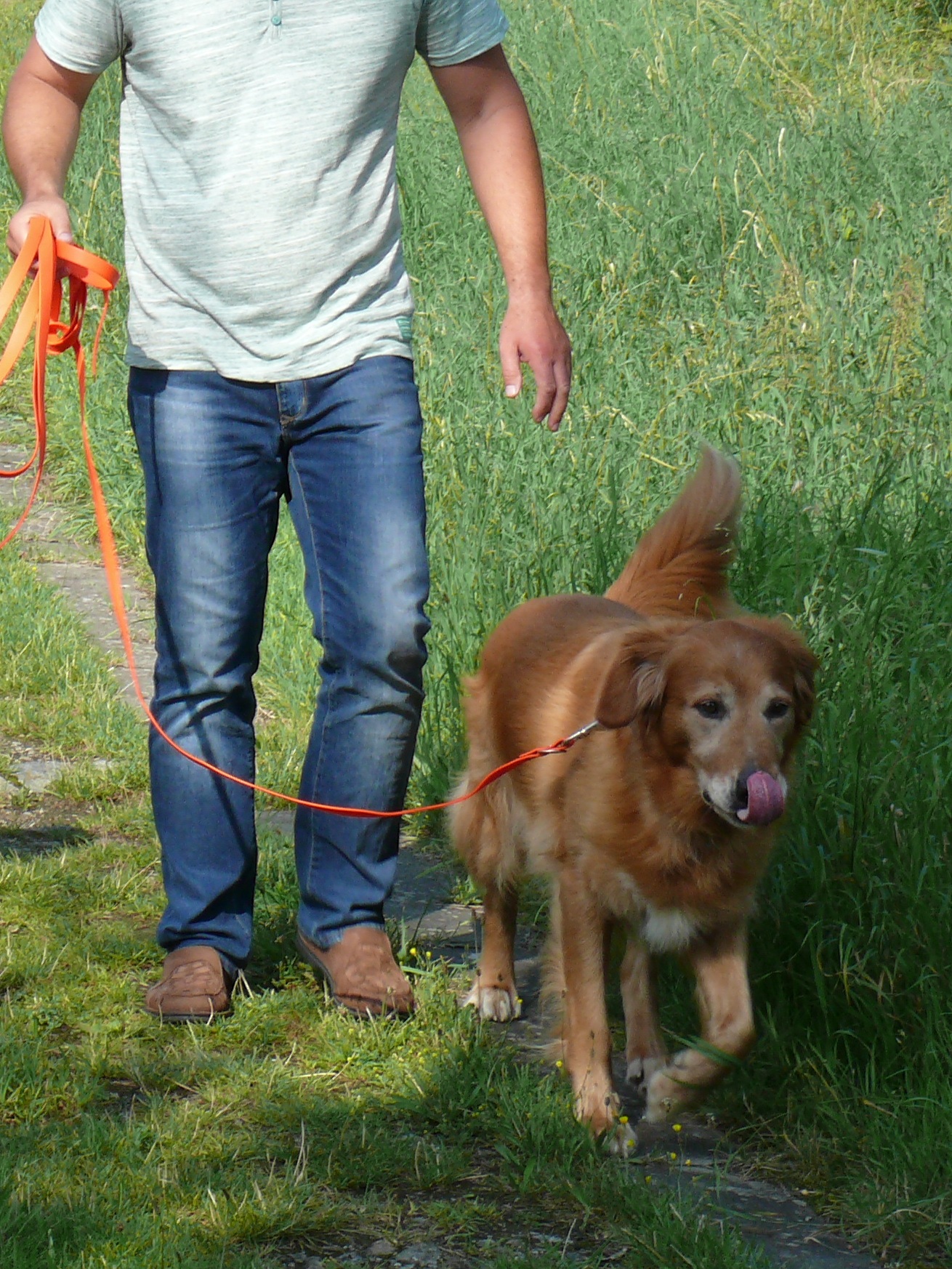 Hund_lecken über Schnauze Maria Kurz steht vor einer Kundin, die einen Hund an der Leine hat. Die Kundin wird gerade von Maria Kurz beraten.