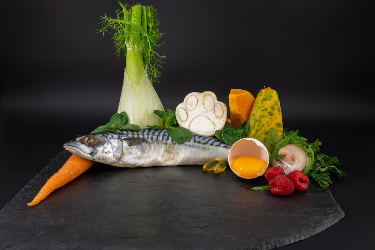 Barf_Hund_Futter_Fisch Gemüse und ein roher Fisch, schön trappiert mit einem rohen Ei, angerichtet auf einer Platte