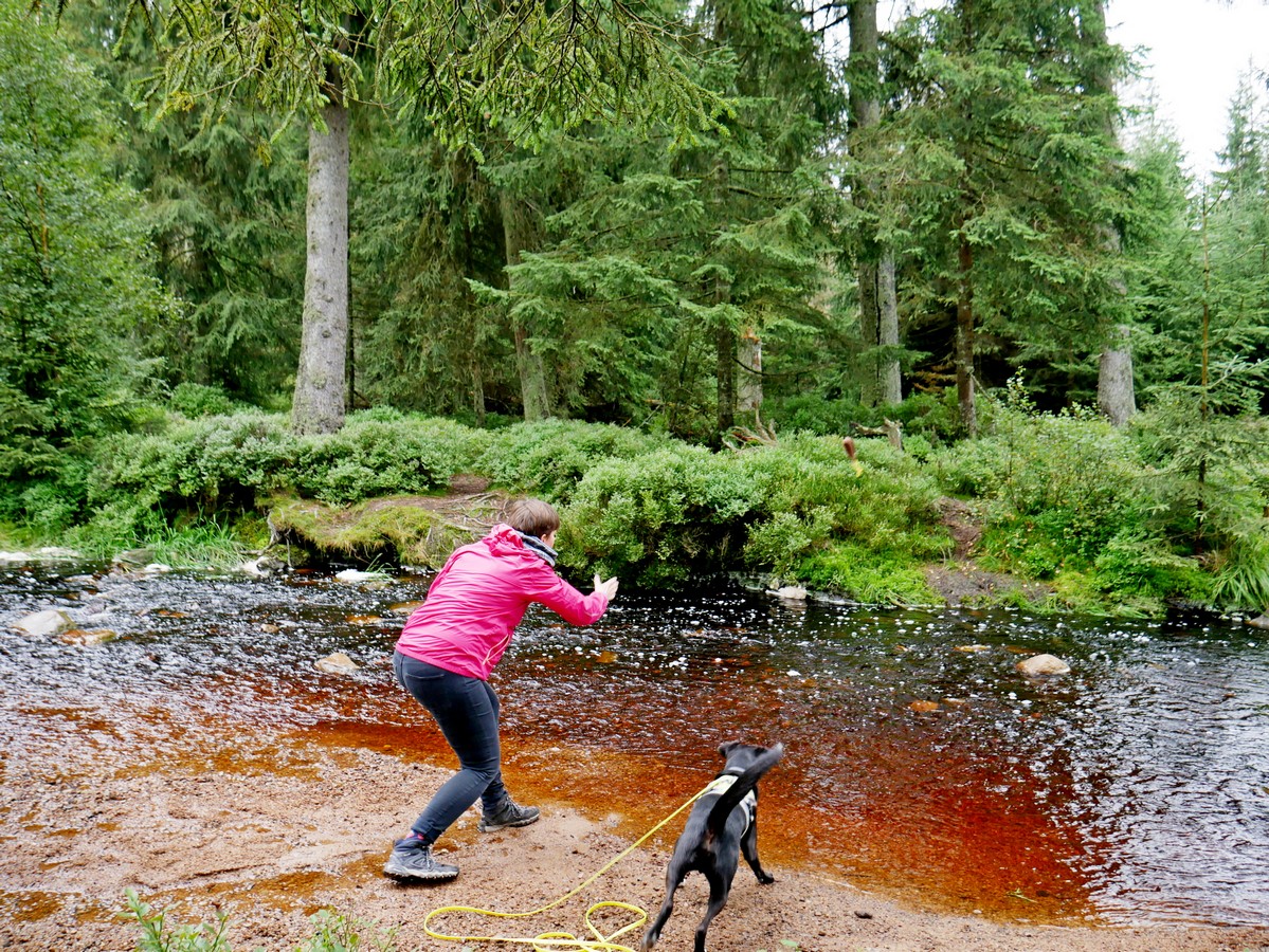 Frau_Hund_Fluß_apportieren