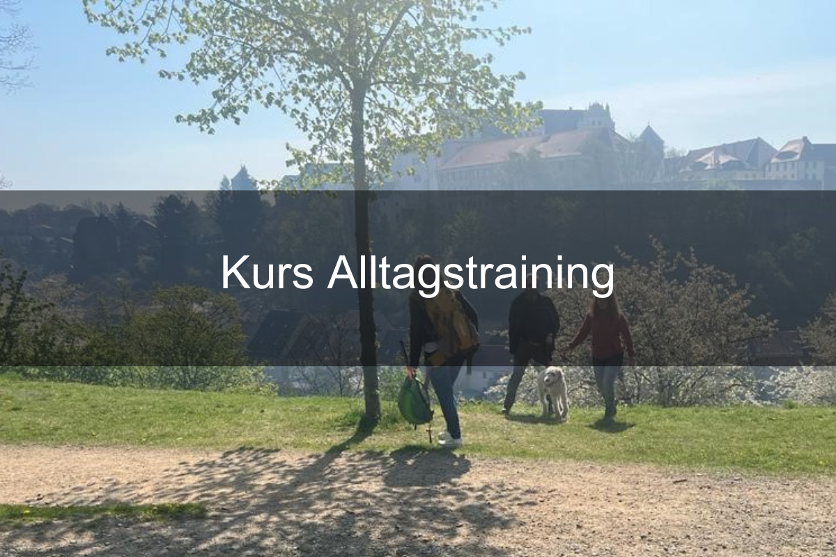 Kurs_Alltagstraining_01