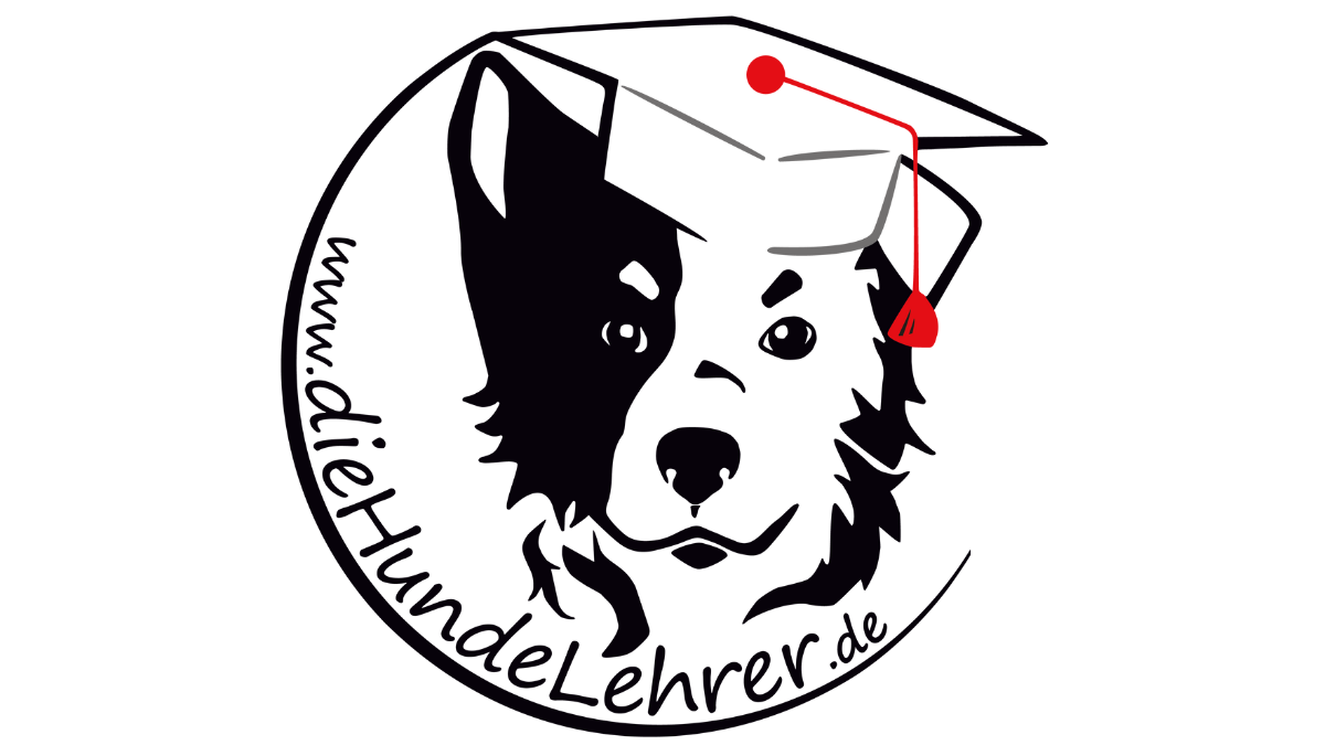 Logo_transparenter Hintergrund_1200-675px Ein Labradoodel schnüffelt am Hintern eines Labradors, der gleichzeitig im Maulbereich eines Jack Russel schnuppert. Der Jack Russel findet dies allerdings komisch und nimmt den Blick zur Seite.