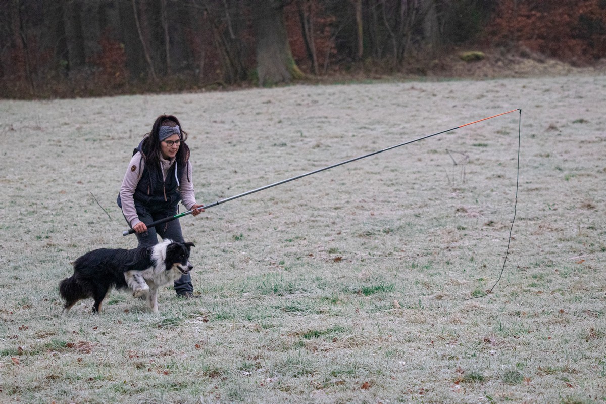 Mensch_Hund_Reizangeltraining-2