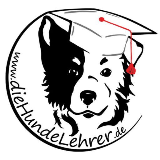 cropped-cropped-DHL-png.jpg